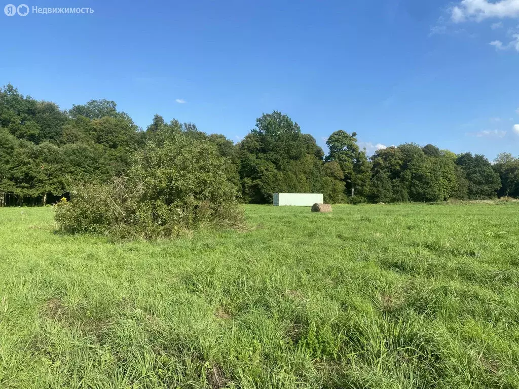 Участок в Калининградская область, Гурьевский муниципальный округ, ... - Фото 2