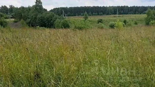 Участок в Московская область, Щелково городской округ, с. Рязанцы  ... - Фото 1