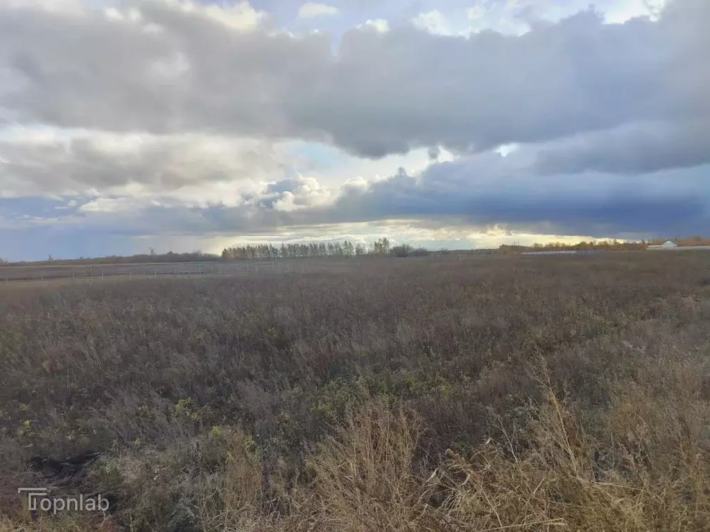 Участок в Тамбовская область, Тамбов ул. Имени Константина Малофеева, ... - Фото 2