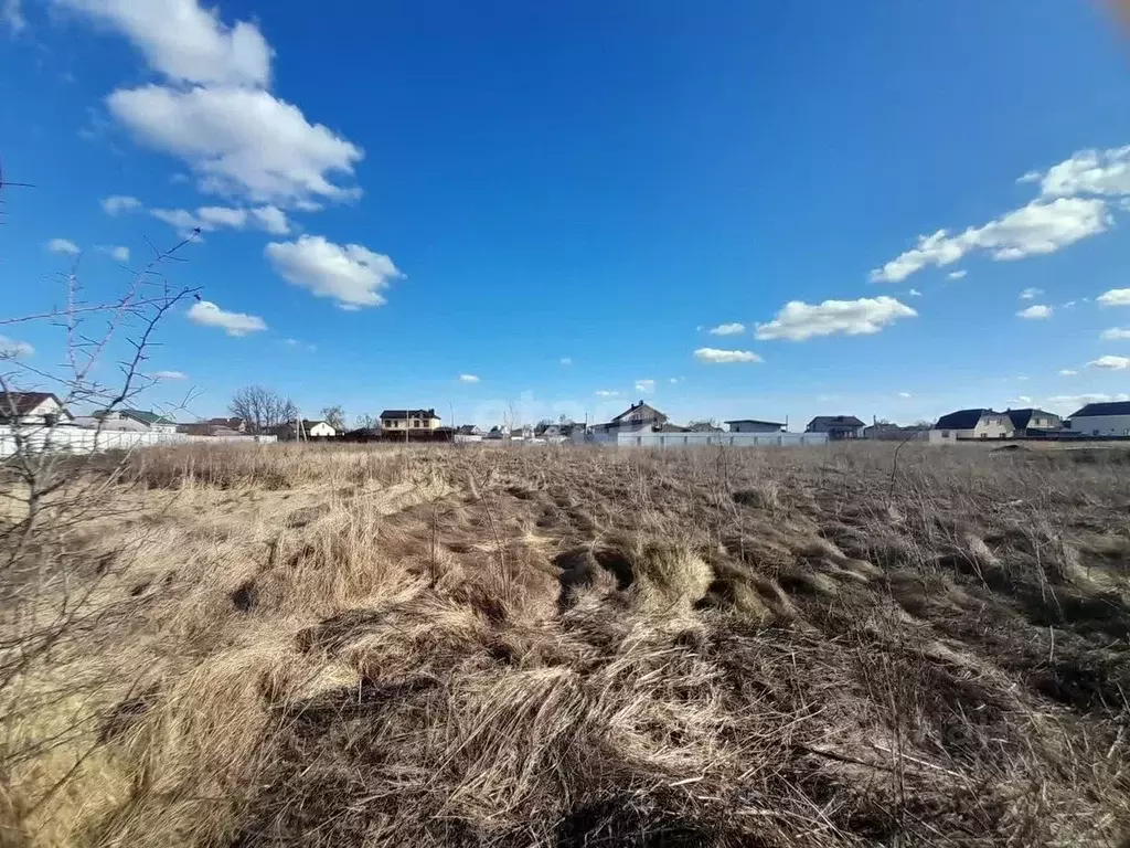 Участок в Воронежская область, с. Новая Усмань ул. Колхозная, 109 ... - Фото 1
