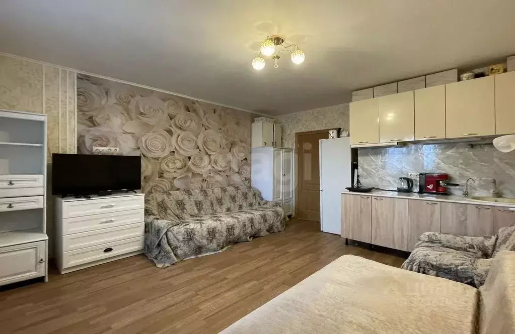 Студия Ленинградская область, Всеволожский район, д. Новое Девяткино ... - Фото 0