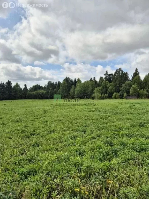 Участок в Воткинский район, село Июльское (50 м) - Фото 1