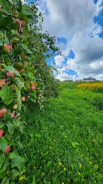Участок в Нижегородская область, Нижний Новгород городской округ, д. ... - Фото 1