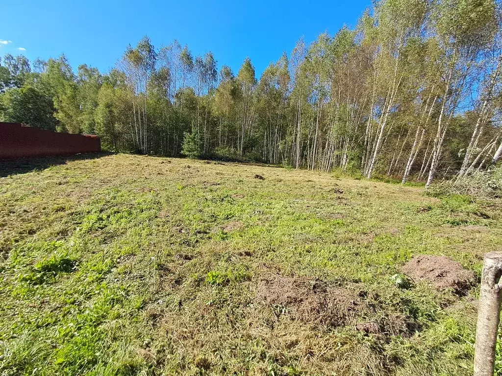 Участок в Московская область, Клин городской округ, Раменка СНТ  (10.0 ... - Фото 2