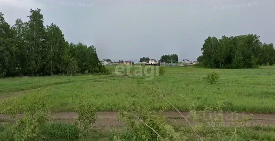 участок в новосибирская область, новосибирский район, морской . - Фото 1