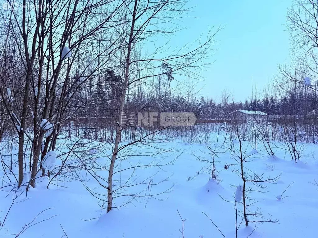 Участок в Одинцовский городской округ, садовое товарищество ПДСК ИНЭК ... - Фото 1