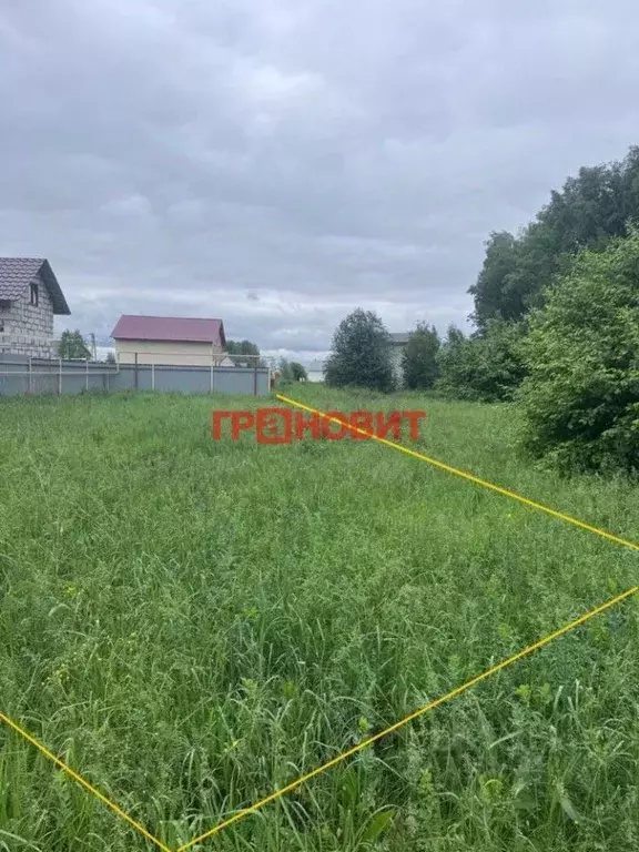 Участок в Новосибирская область, Новосибирский район, Криводановский ... - Фото 2