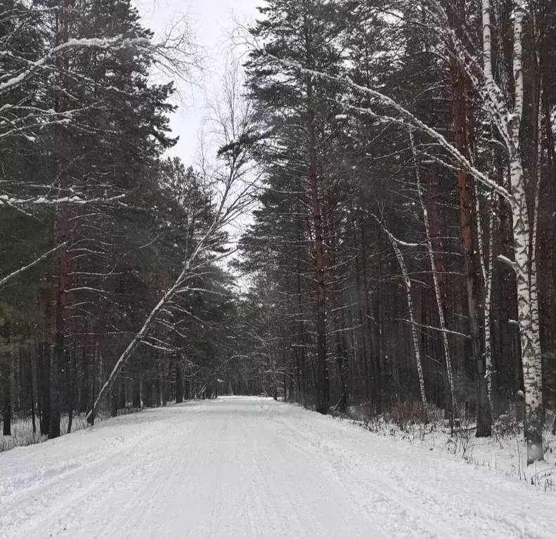 Дом в Новосибирская область, Новосибирский район, Кудряшовский ... - Фото 2