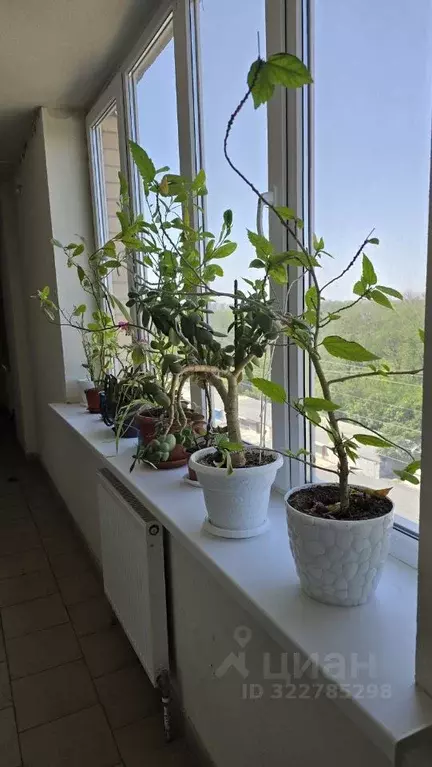 1-к кв. Ростовская область, Ростов-на-Дону Днепровский пер., 124Н ... - Фото 1