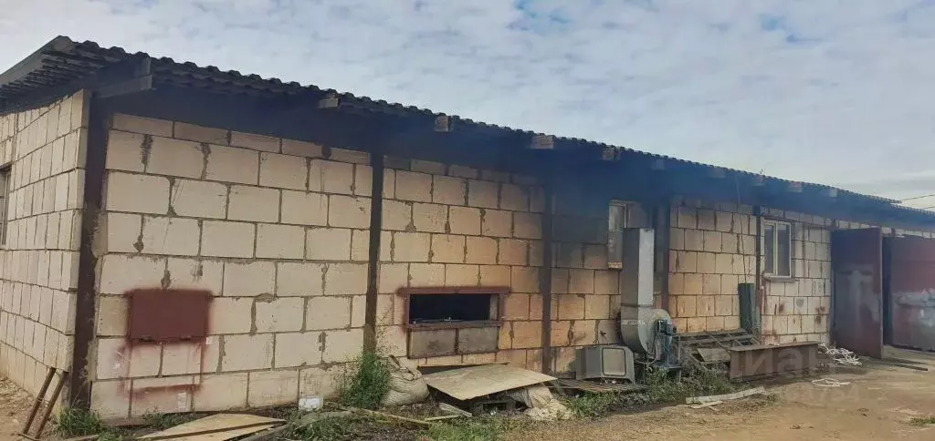 помещение свободного назначения в смоленская область, смоленск . - Фото 1