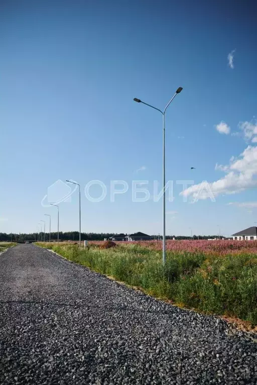 Участок в Тюменская область, Тюменский муниципальный округ, Онегин кп  ... - Фото 2