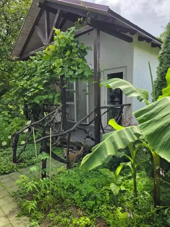 Дом в Краснодарский край, Геленджик городской округ, с. Береговое ул. ... - Фото 2