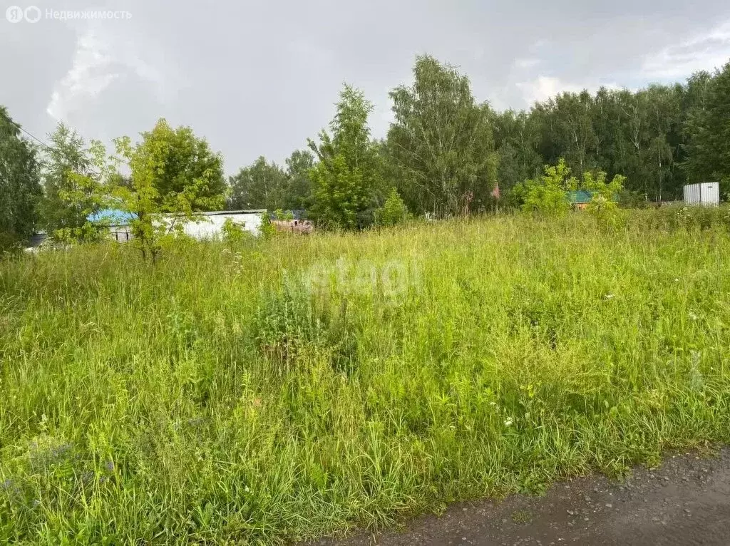 Участок в Колыванский район, СНТ Обские Просторы (5.9 м) - Фото 1