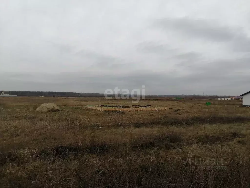 Участок в Курская область, Курский район, Рышковский сельсовет, д. ... - Фото 0