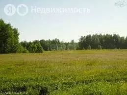 Участок в Курганская область, Мокроусовский муниципальный округ, село ... - Фото 1