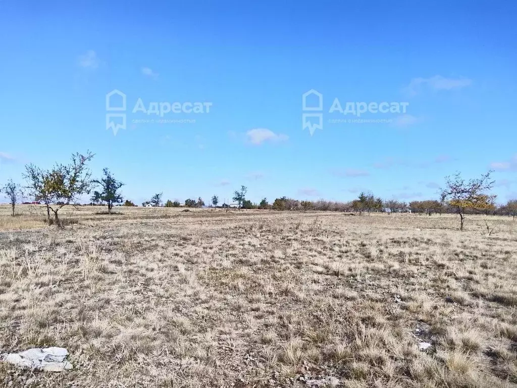 Участок в Волгоградская область, Городищенский район, Царицынское ... - Фото 2