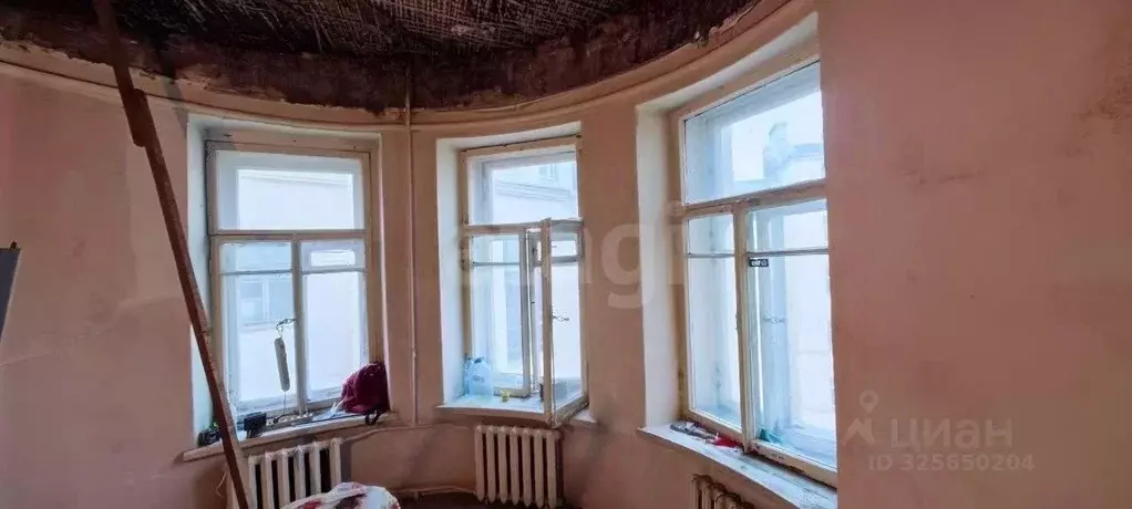 Комната Санкт-Петербург Малодетскосельский просп., 25/12 (33.5 м) - Фото 1