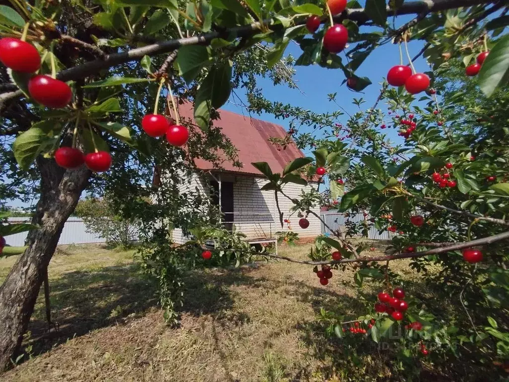 Дом в Саратовская область, Энгельсский район, Красноярское ... - Фото 1