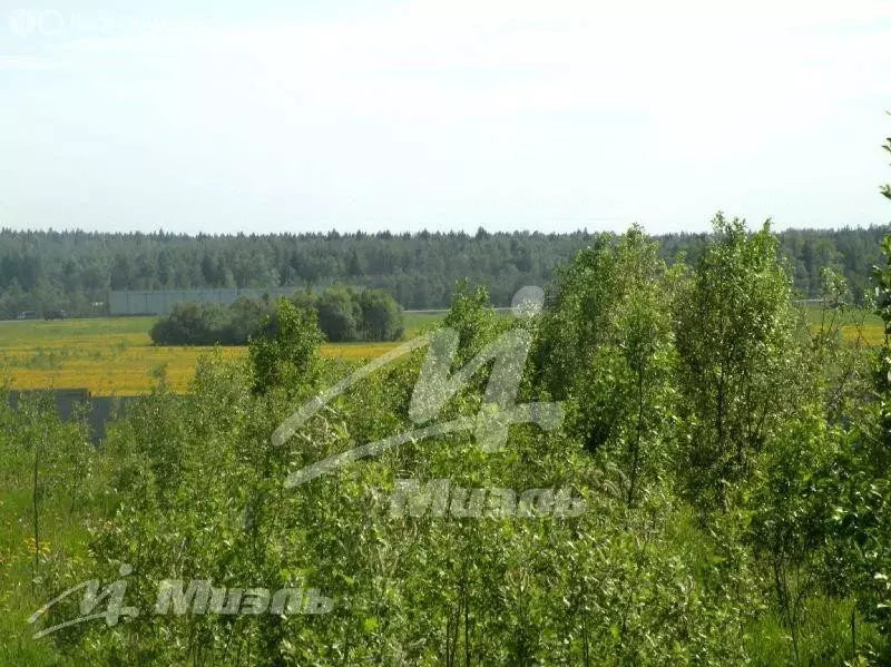 Участок в Московская область, городской округ Истра, деревня Котово ... - Фото 1