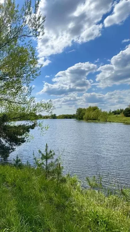 Таунхаус в Московская область, Красногорск городской округ, с. ... - Фото 1