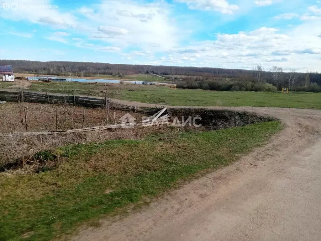 Участок в Нижегородская область, Богородский муниципальный округ, ... - Фото 0