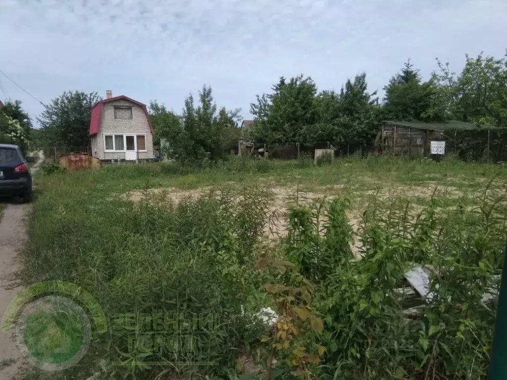 Участок в Калининградская область, Светлогорск Радуга СНТ, 9-я линия, ... - Фото 1