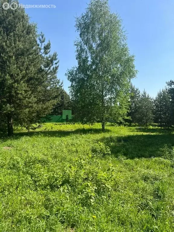 Участок в Завьяловский район, коттеджный посёлок Соловьи, Сосновая ... - Фото 1