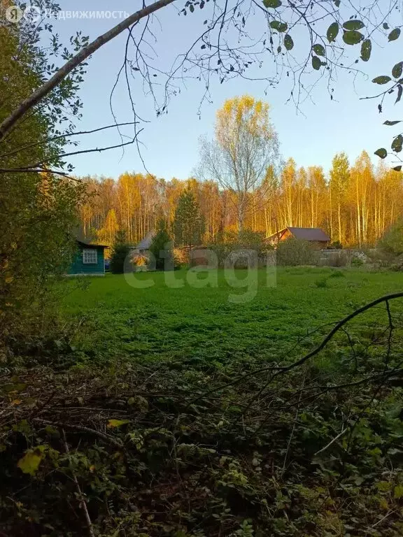 Участок в Нерехта, Егорьевская улица (9.3 м) - Фото 2