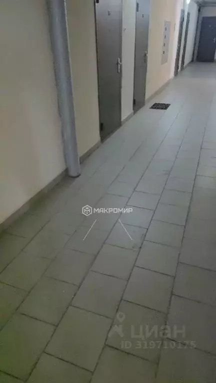 2-к кв. Новосибирская область, Новосибирск Дивногорская ул., 150/2 ... - Фото 1