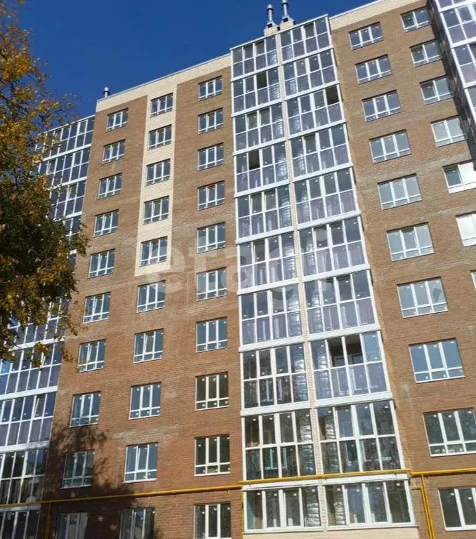 2-к кв. Курская область, Льгов ул. Энгельса, 142 (60.7 м) - Фото 2