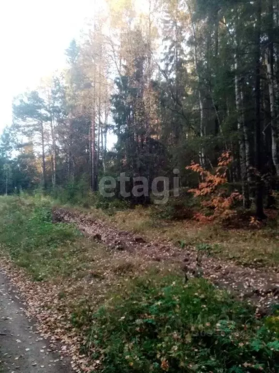 Участок в Свердловская область, Нижний Тагил ул. Шаумяна (7.0 сот.) - Фото 1