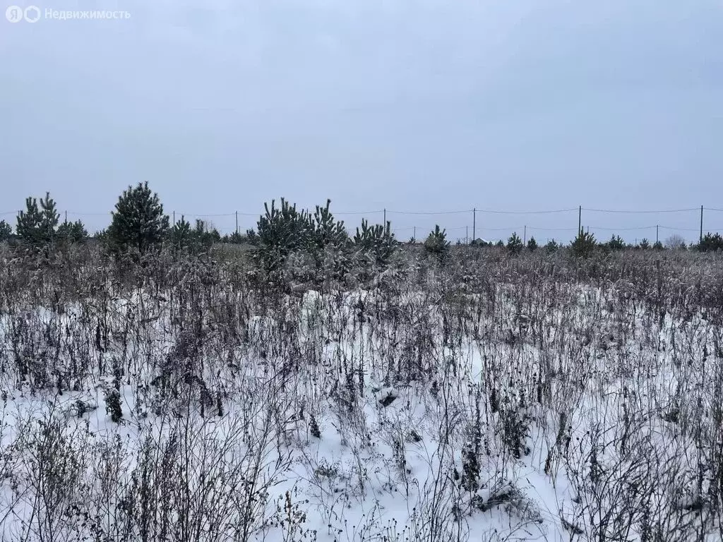 Участок в Алапаевск, микрорайон Заречный (8.08 м) - Фото 1