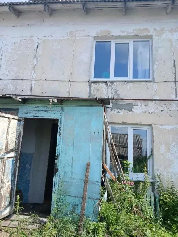 3-к кв. Омская область, Омский район муниципальный округ, д. Петровка ... - Фото 1