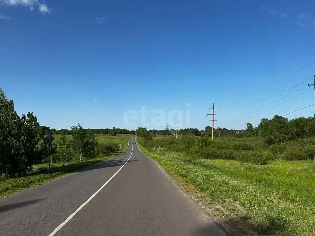 Участок в Брянская область, Брянский район, Мичуринское с/пос, д. ... - Фото 2