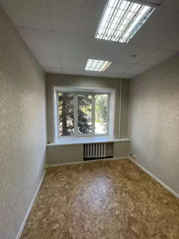 Офис в Калужская область, Калуга ул. Ленина, 81 (12 м) - Фото 1