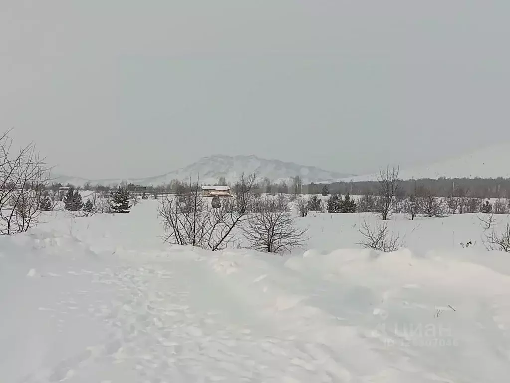 Участок в Алтайский край, Алтайский район, Айский сельсовет, ... - Фото 1