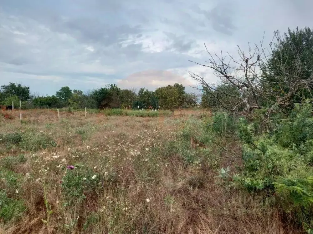 Участок в Крым, Сакский район, с. Орехово ул. Северная (4.0 сот.) - Фото 2