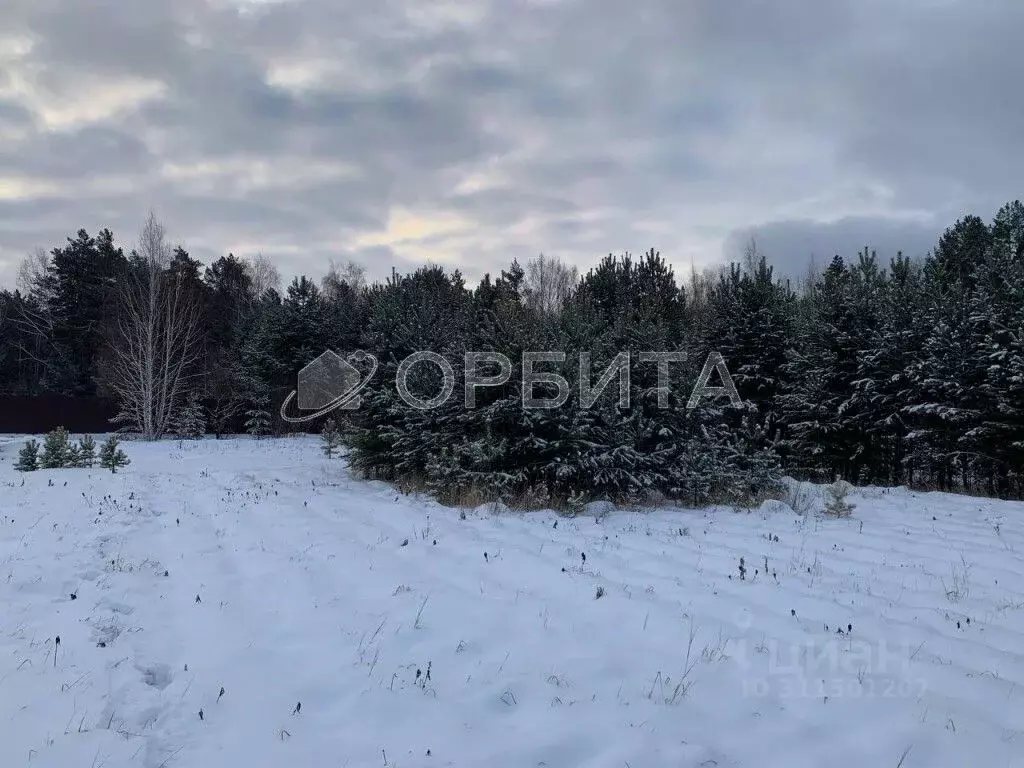 Участок в Тюменская область, Тюменский район, с. Гусево ул. ... - Фото 1