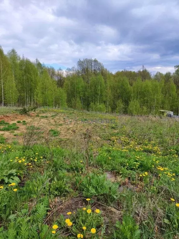 Участок в Нижегородская область, Богородский муниципальный округ, д. ... - Фото 2