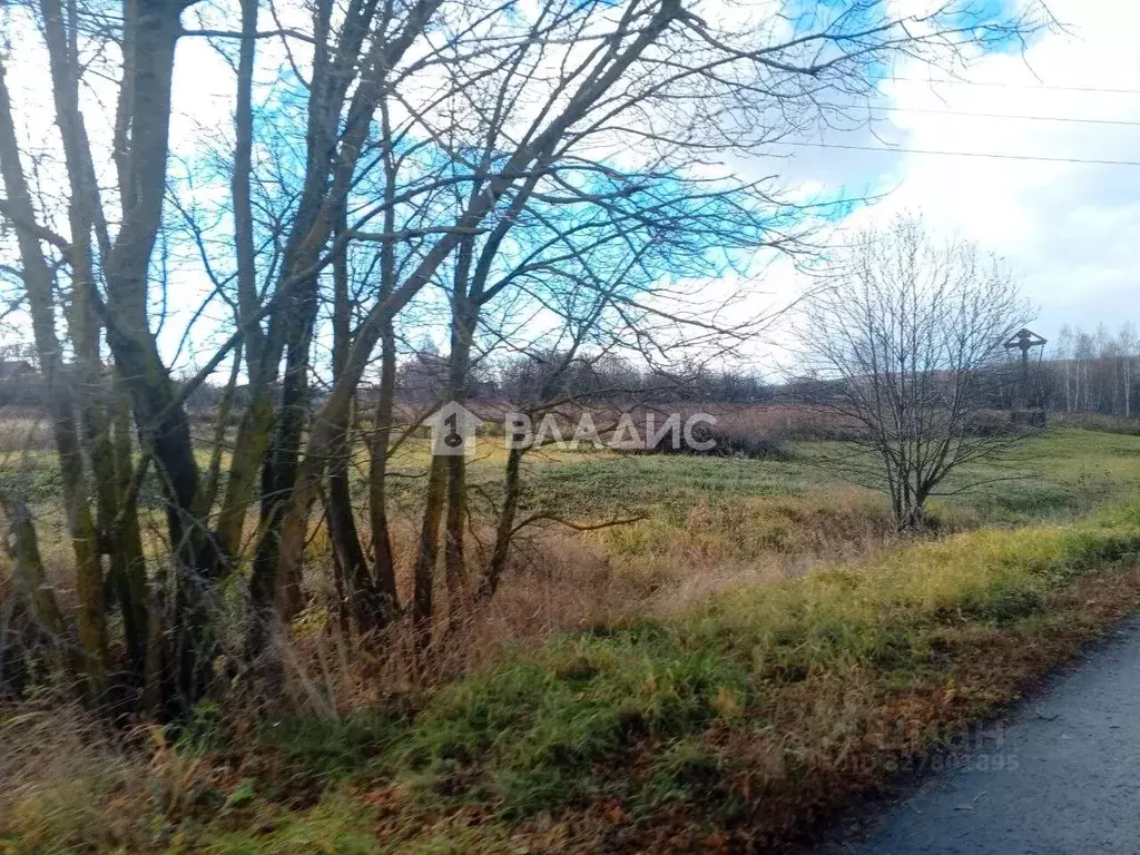Участок в Нижегородская область, Богородский муниципальный округ, д. ... - Фото 1