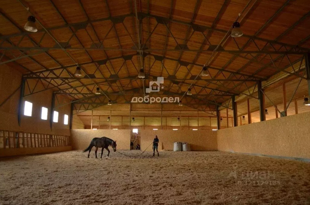 Помещение свободного назначения в Свердловская область, Белоярский пгт ... - Фото 2