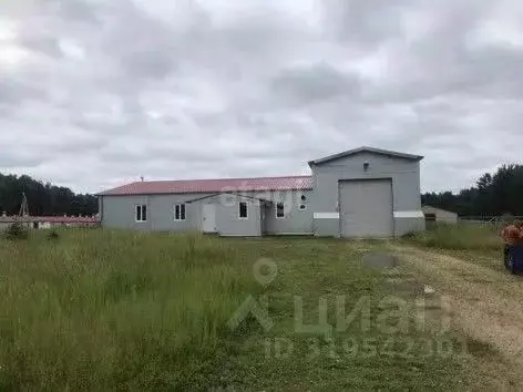 Склад в Калужская область, Юхновский район, Беляево с/пос, д. Беляево ... - Фото 1