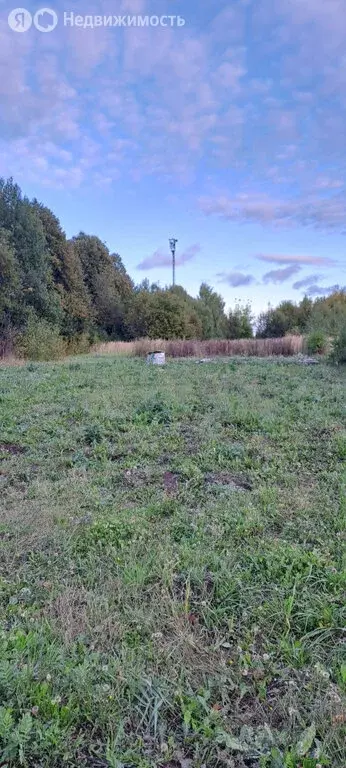 Участок в Пермский край, Осинский муниципальный округ, деревня ... - Фото 1