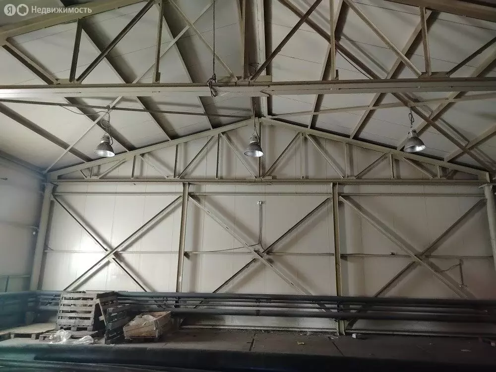 Помещение свободного назначения (285 м) - Фото 1