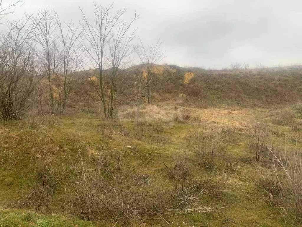 Участок в Красногвардейский район, село Амурское (2873.81 м) - Фото 2