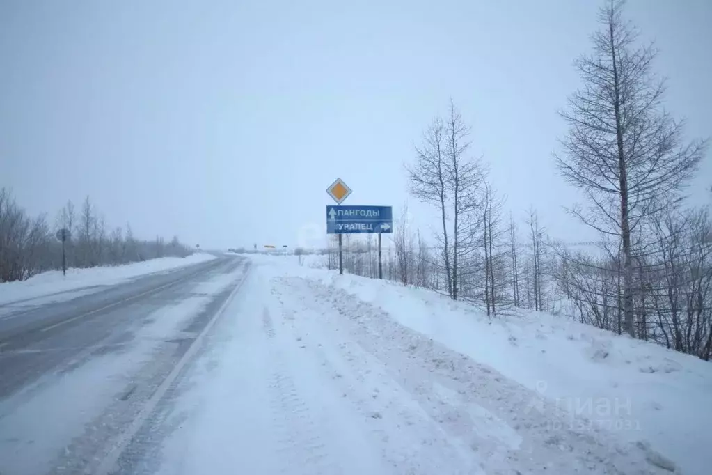 участок в ямало-ненецкий ао, новый уренгой виктория днт, (600.0 сот.) - Фото 0