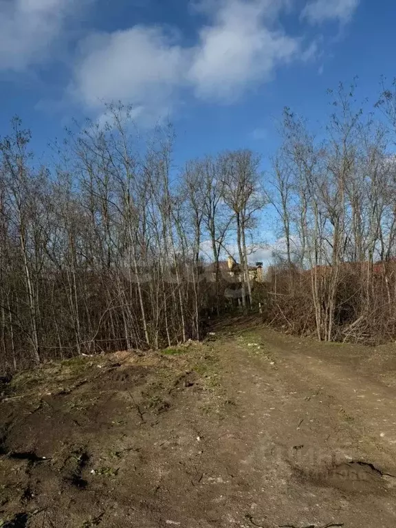 Участок в Ростовская область, Мясниковский район, Краснокрымское ... - Фото 1