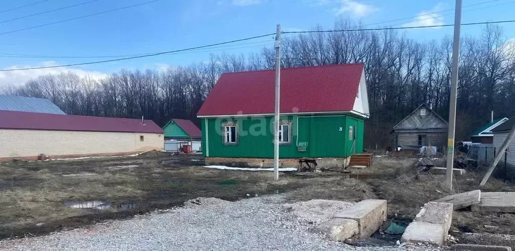 Дом в Башкортостан, Аургазинский район, с. Толбазы Луговая ул. (67 м) - Фото 1