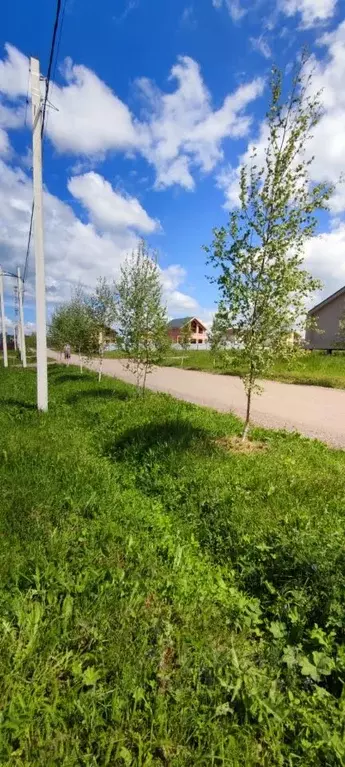 Участок в Московская область, Солнечногорск городской округ, д. ... - Фото 0