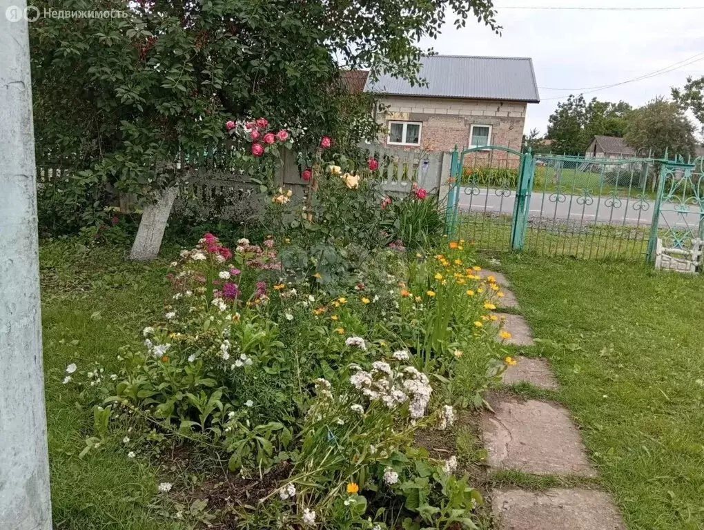 Дом в посёлок Илюшино, Шоссейная улица (52 м) - Фото 1